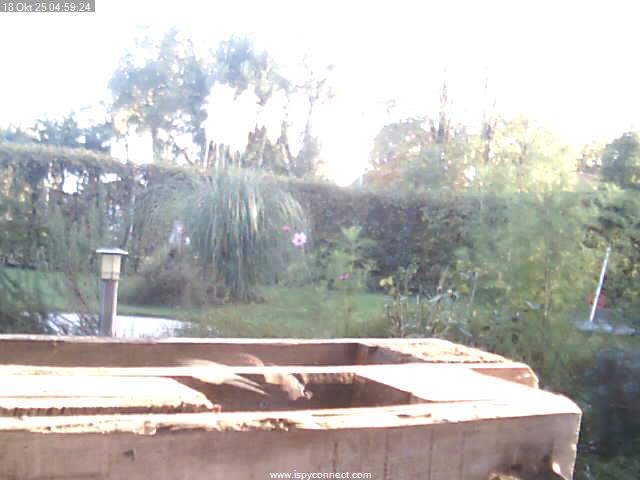 Webcam Garten